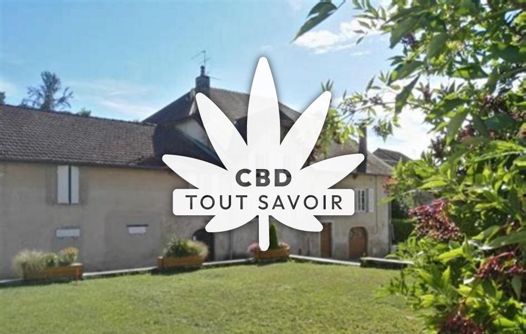 Village à Chille avec feuille Cannabis CBD