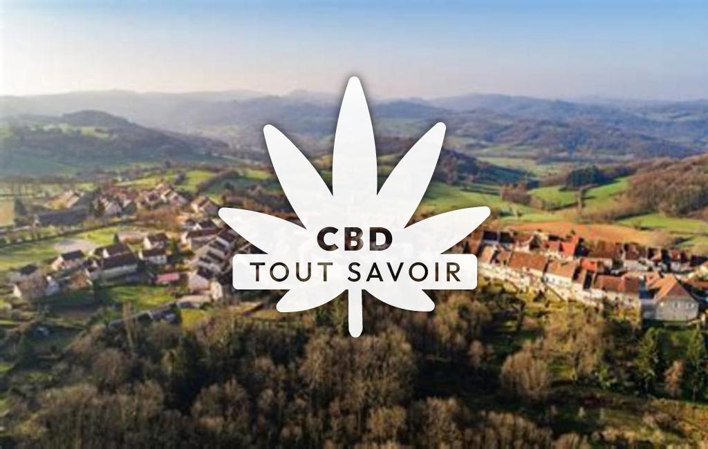 Village à Montaigu avec feuille Cannabis CBD