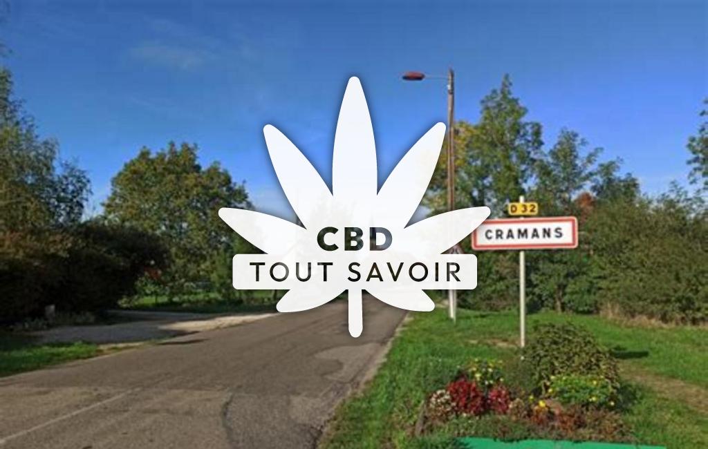 Village à Cramans avec feuille Cannabis CBD
