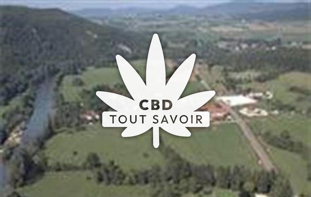 Village à Grange-de-Vaivre avec feuille Cannabis CBD