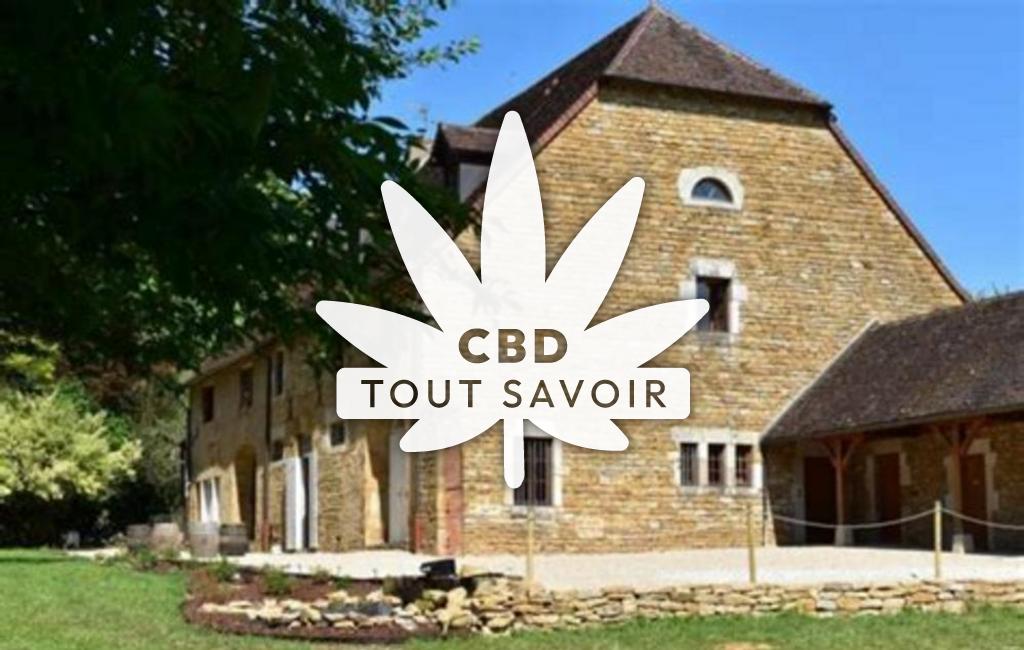 Village à Bersaillin avec feuille Cannabis CBD