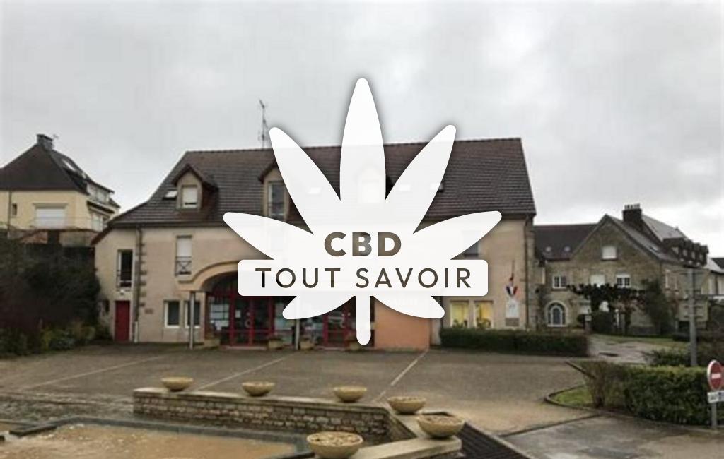 Village à Brevans avec feuille Cannabis CBD