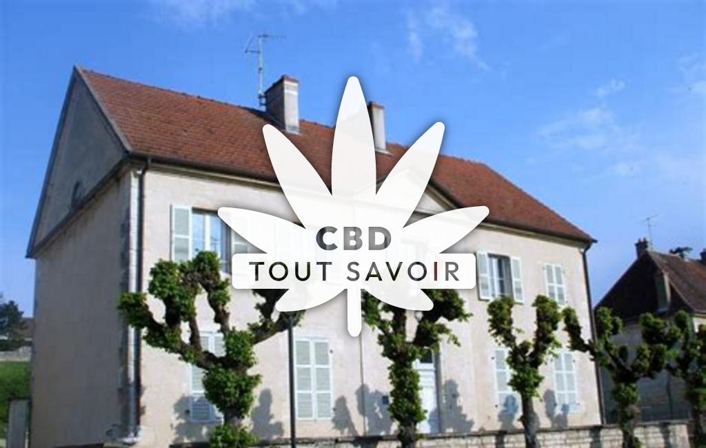 Village à Choisey avec feuille Cannabis CBD