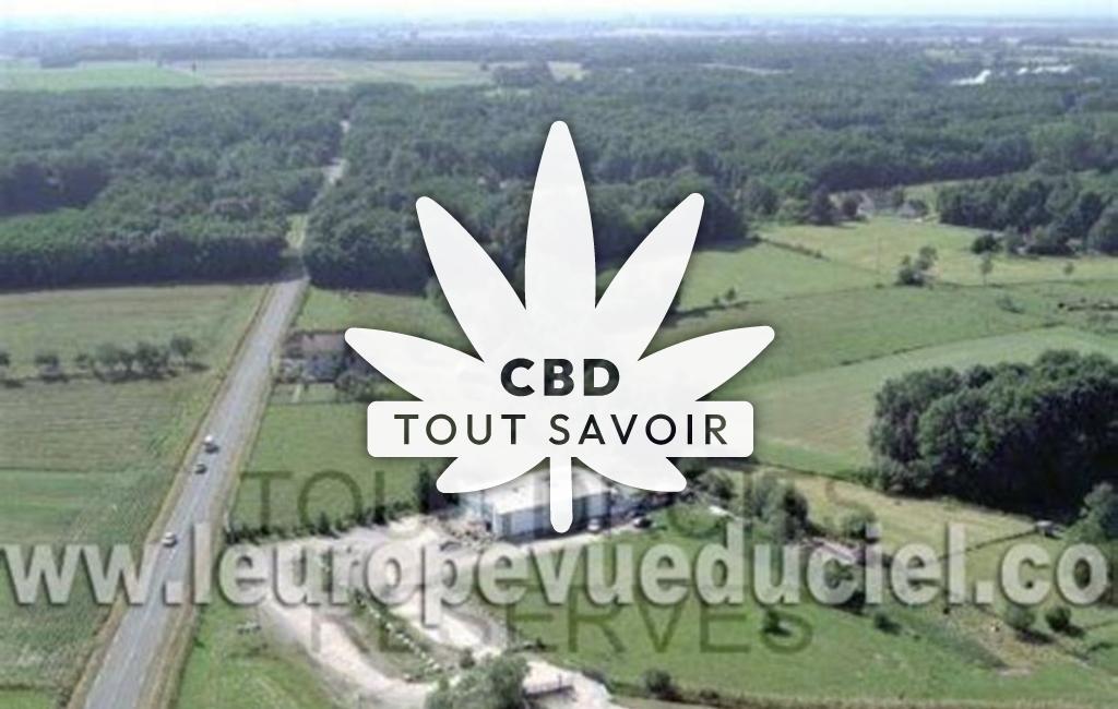 Village à Balaiseaux avec feuille Cannabis CBD