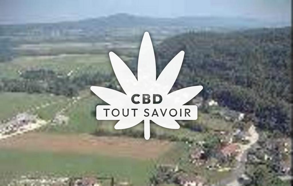 Village à Charcier avec feuille Cannabis CBD