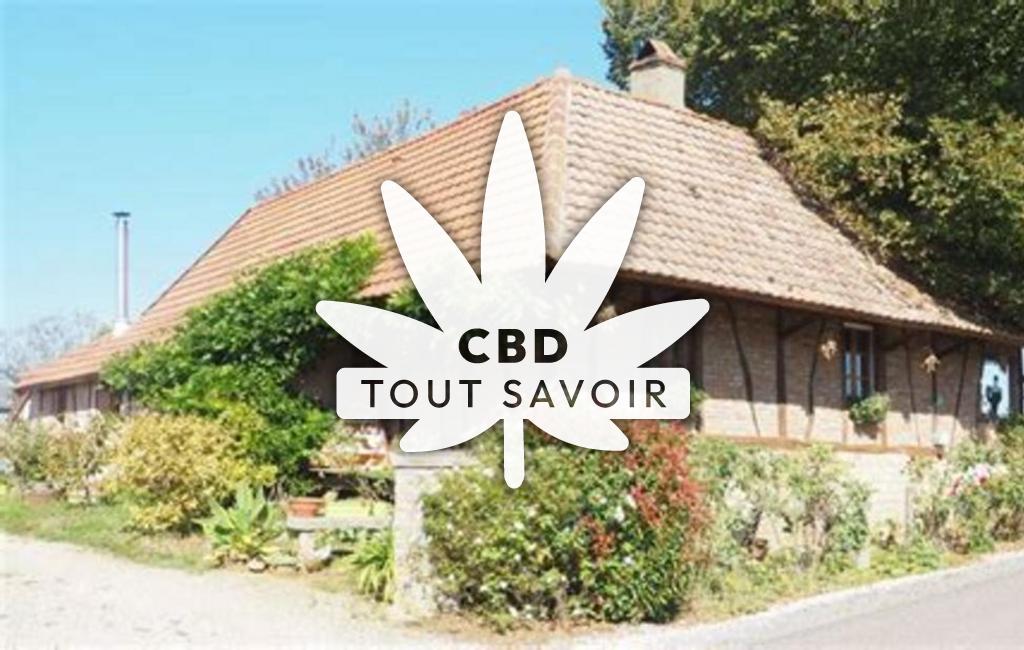 Village à Chapelle-Voland avec feuille Cannabis CBD