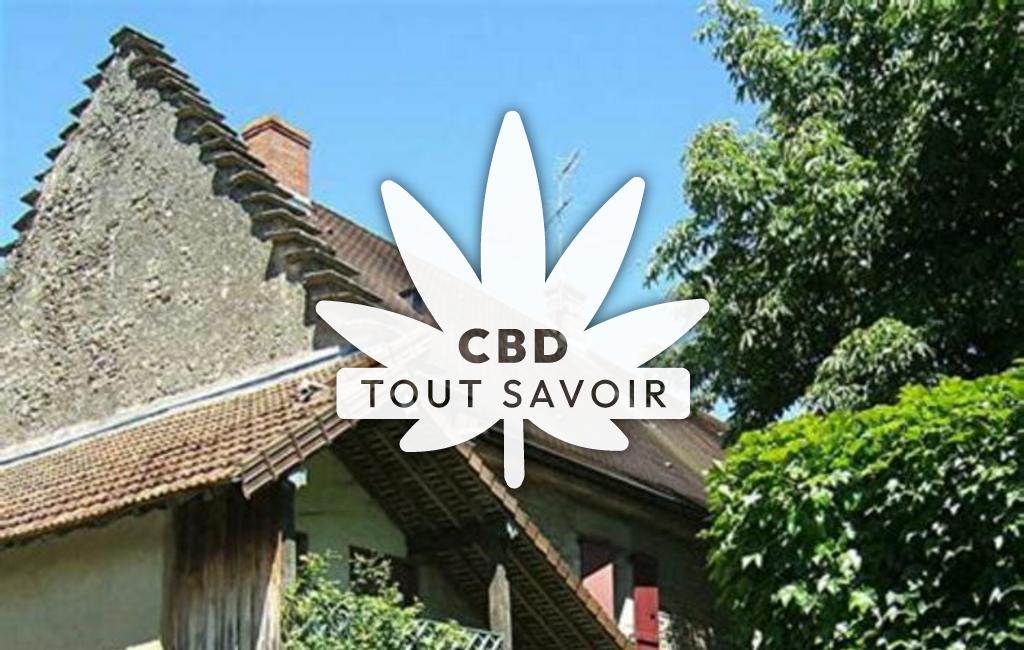 Village à Villevieux avec feuille Cannabis CBD
