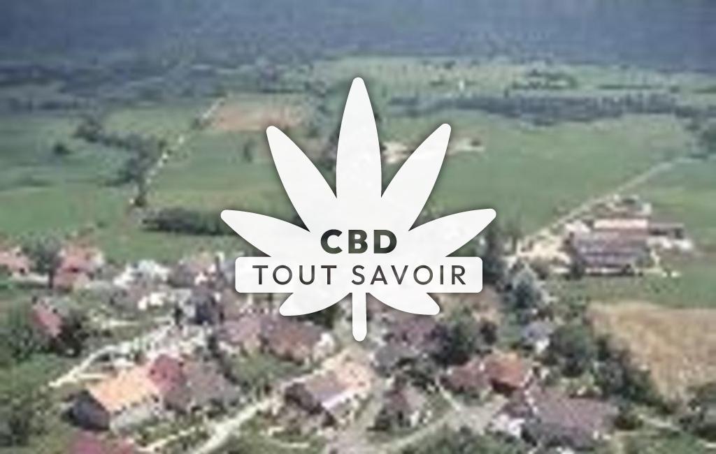 Village à Bief-des-Maisons avec feuille Cannabis CBD