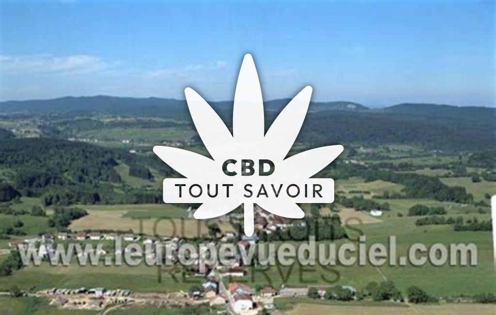 Village à Fort-du-Plasne avec feuille Cannabis CBD