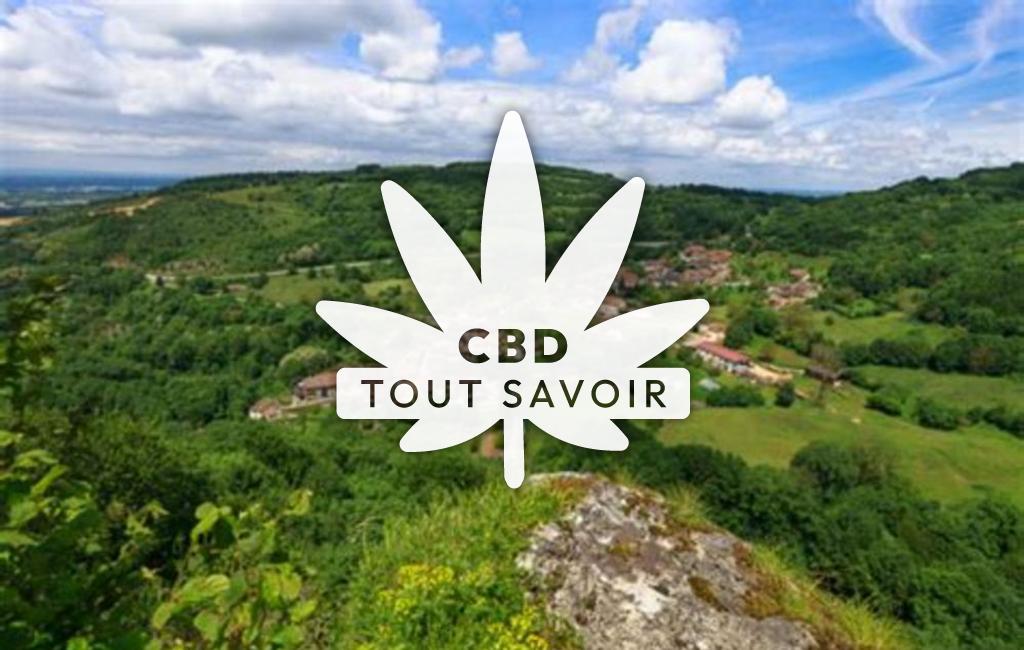 Village à Montagna-le-Reconduit avec feuille Cannabis CBD