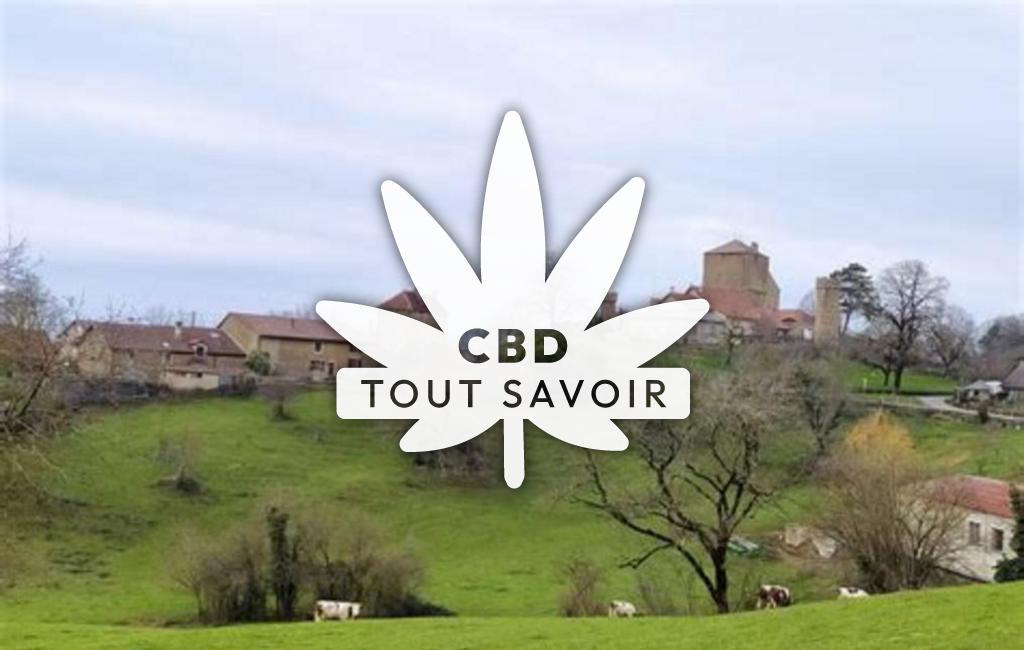 Village à Rosay avec feuille Cannabis CBD