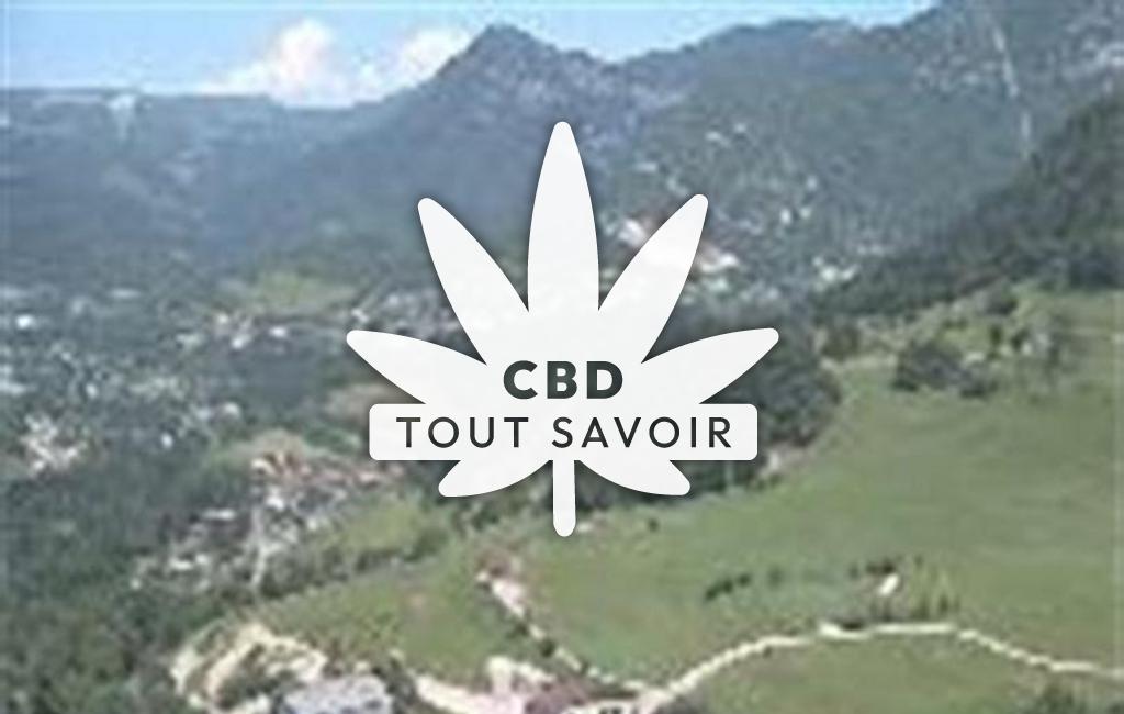 Village à Villard-Saint-Sauveur avec feuille Cannabis CBD