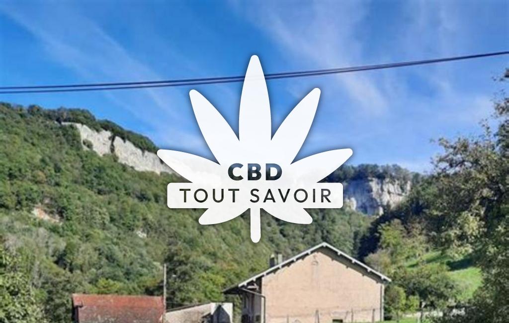 Village à Blois-sur-Seille avec feuille Cannabis CBD
