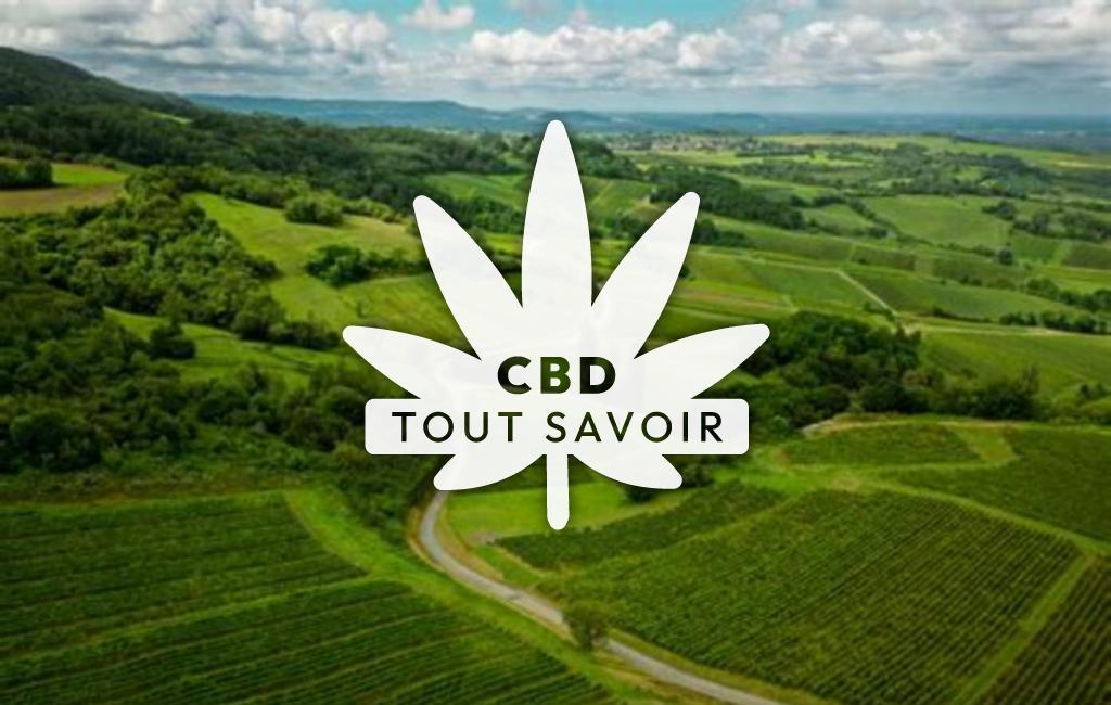 Village à Le-Vernois avec feuille Cannabis CBD