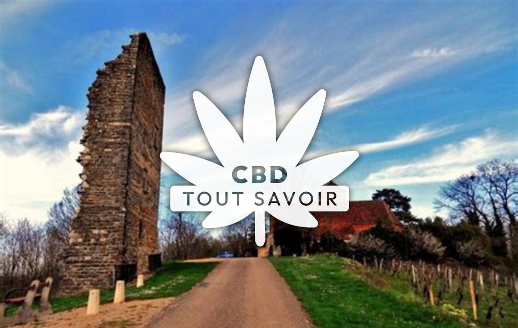 Village à Toulouse-le-Chateau avec feuille Cannabis CBD