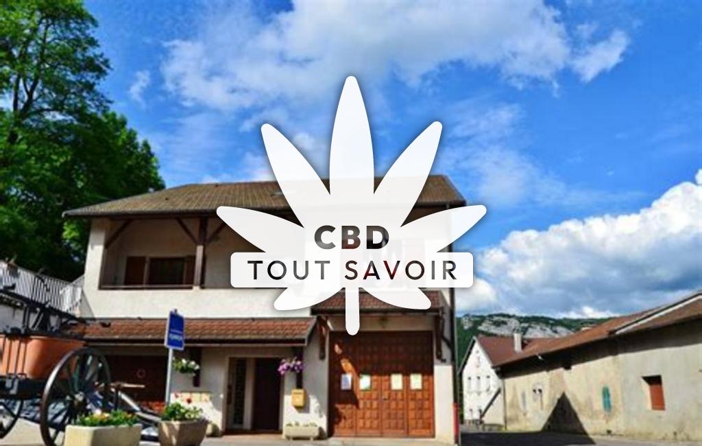 Village à Condes avec feuille Cannabis CBD