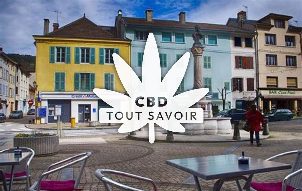 Village à Moirans-en-Montagne avec feuille Cannabis CBD