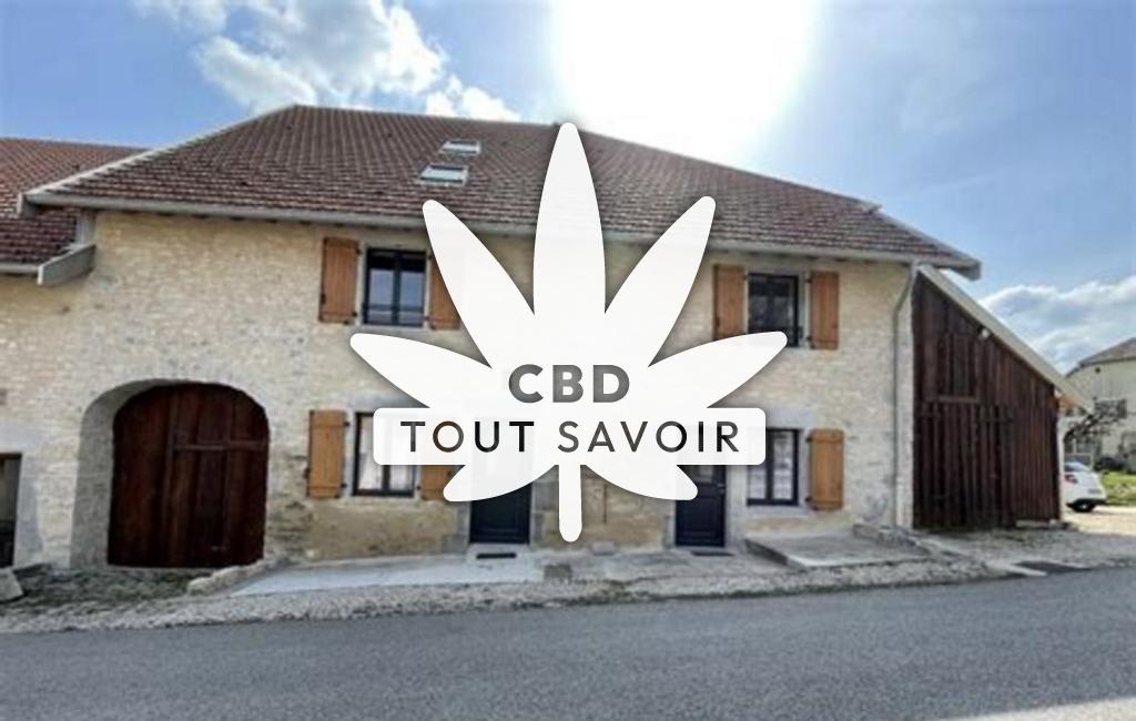 Village à Vers-en-Montagne avec feuille Cannabis CBD