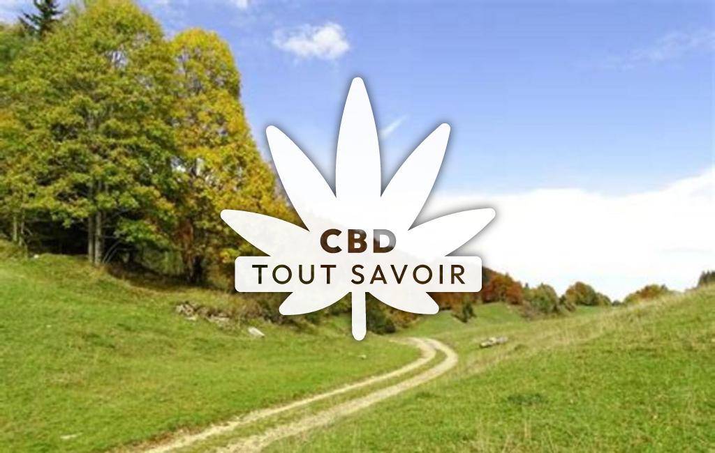 Village à Septmoncel-les-Molunes avec feuille Cannabis CBD