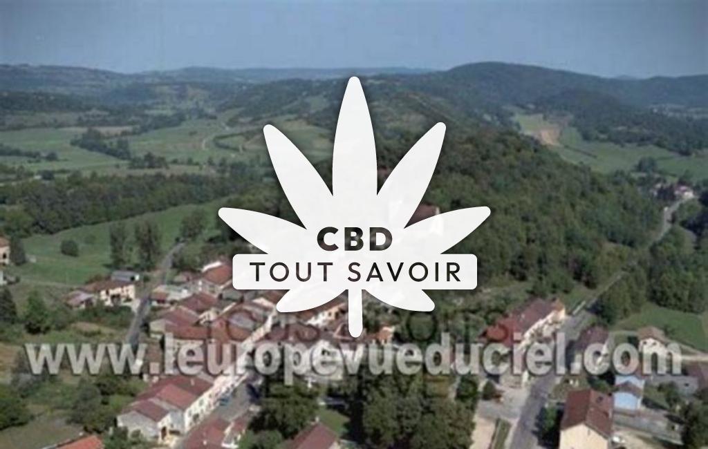 Village à Montfleur avec feuille Cannabis CBD