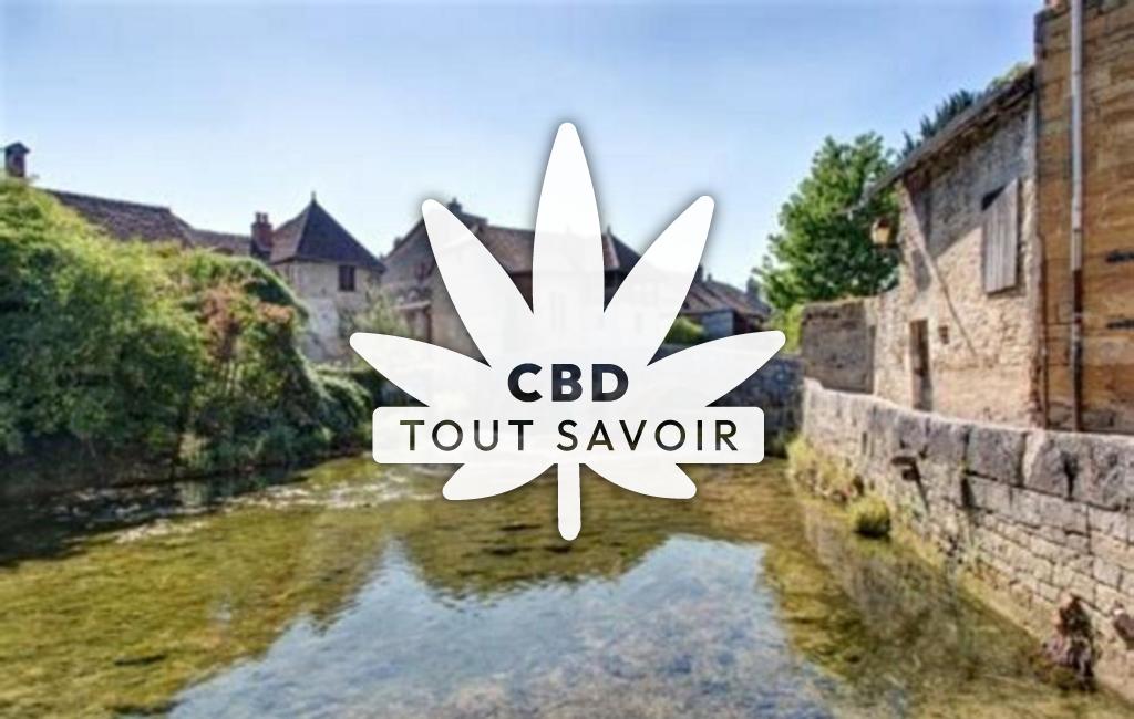 Village à Saligney avec feuille Cannabis CBD