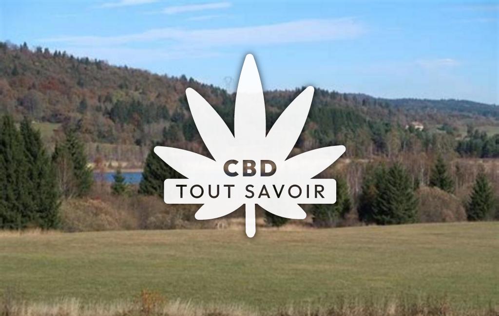 Village à Viry avec feuille Cannabis CBD