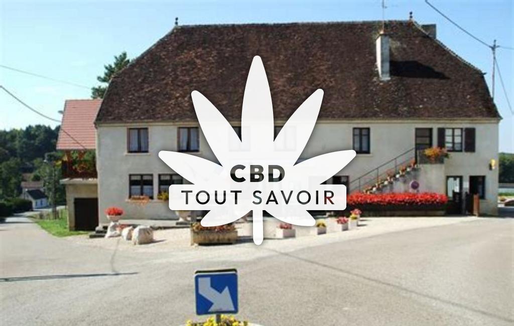 Village à La-Vieille-Loye avec feuille Cannabis CBD