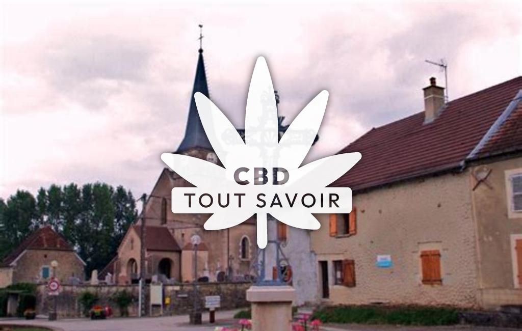 Village à Vaudrey avec feuille Cannabis CBD