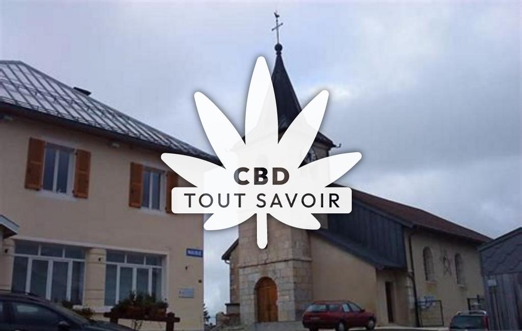 Village à Premanon avec feuille Cannabis CBD