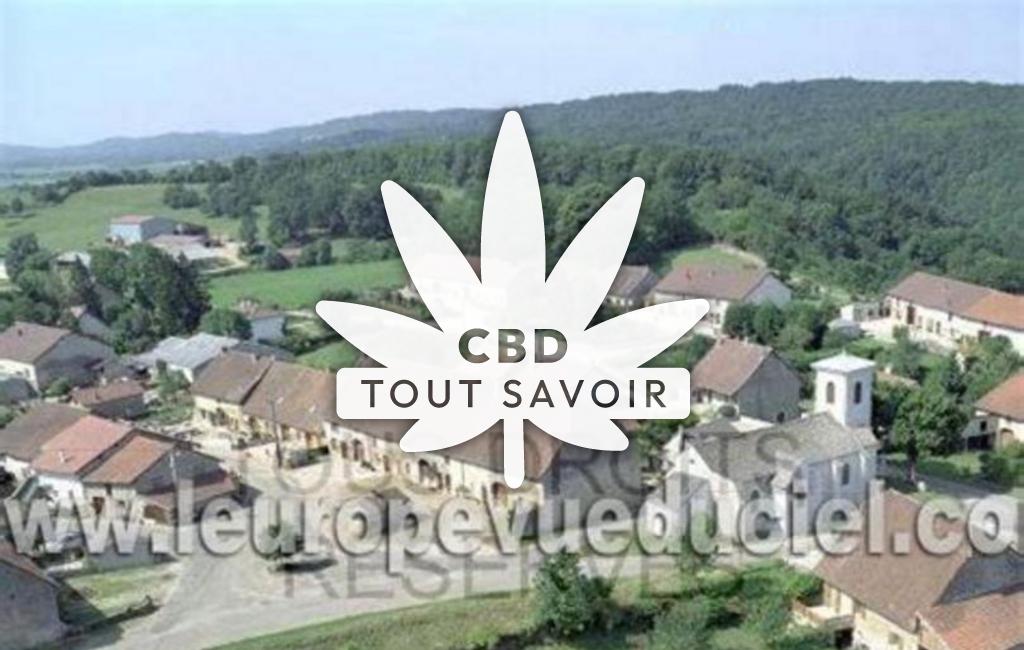 Village à Bornay avec feuille Cannabis CBD