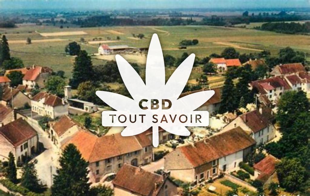 Village à Chilly-le-Vignoble avec feuille Cannabis CBD