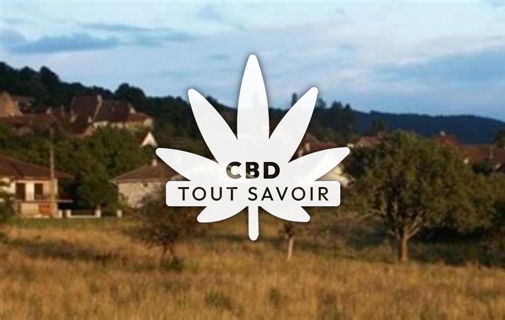 Village à Perrigny avec feuille Cannabis CBD