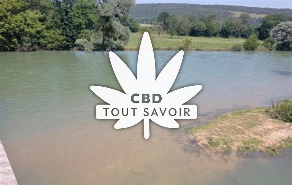Village à Champagne-sur-Loue avec feuille Cannabis CBD