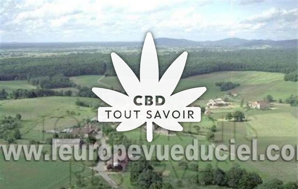 Village à Villeneuve-D'Aval avec feuille Cannabis CBD
