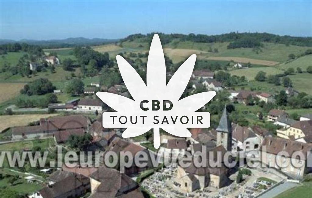 Village à Grozon avec feuille Cannabis CBD