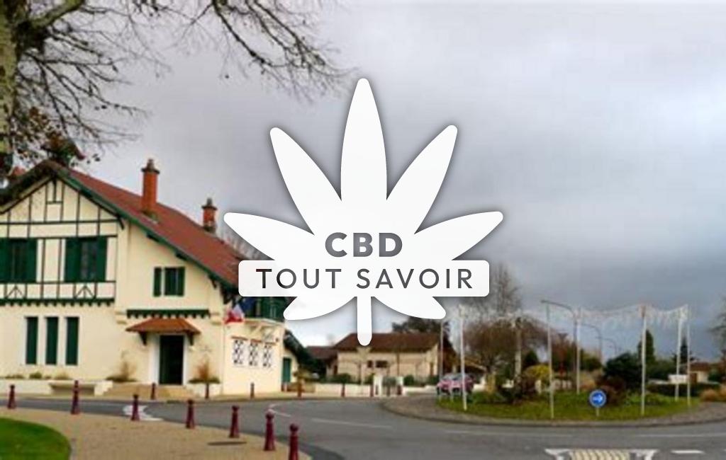 Village à Saint-Avit avec feuille Cannabis CBD