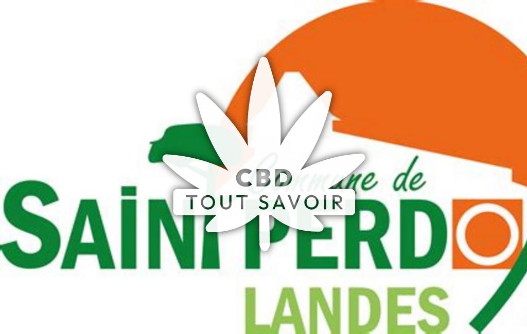 Village à Saint-Perdon avec feuille Cannabis CBD