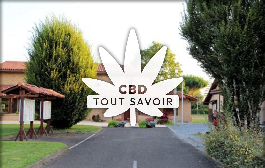 Village à Uchacq-Et-Parentis avec feuille Cannabis CBD