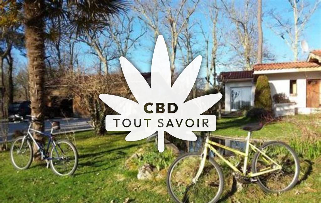 Village à Lacquy avec feuille Cannabis CBD