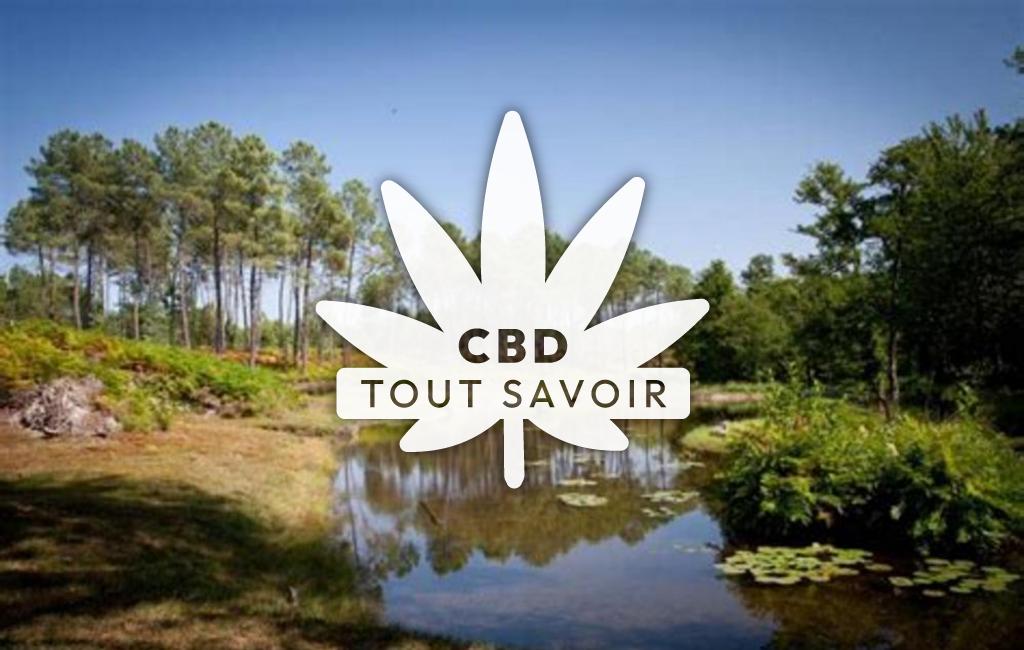 Village à Pouydesseaux avec feuille Cannabis CBD