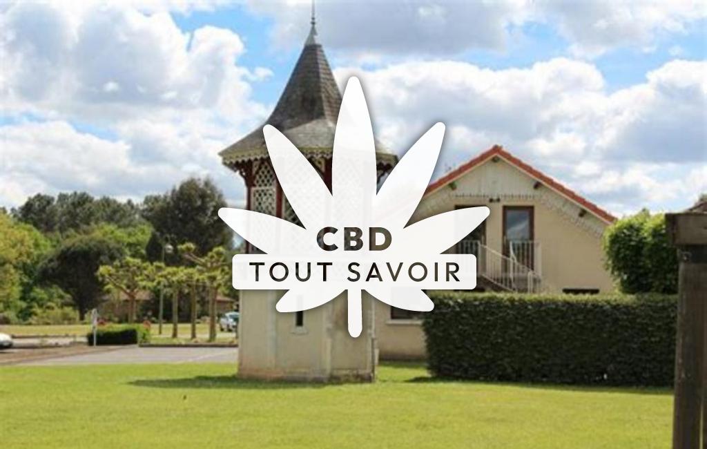 Village à Sarbazan avec feuille Cannabis CBD