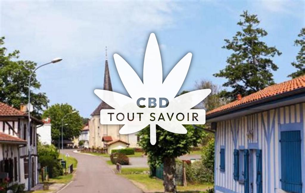 Village à Levignacq avec feuille Cannabis CBD