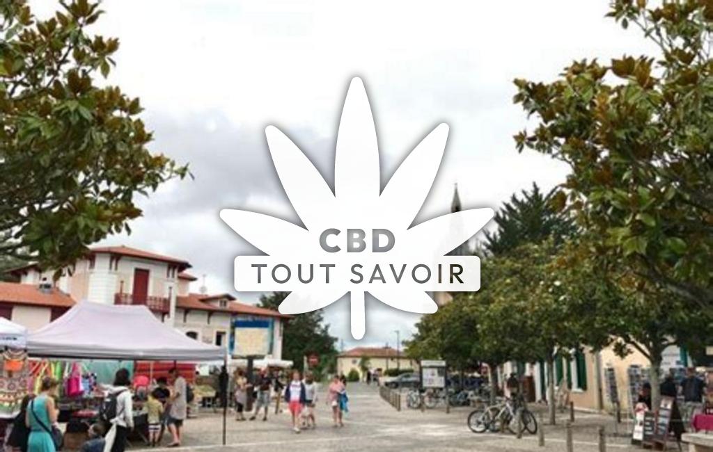 Village à Lit-Et-Mixe avec feuille Cannabis CBD