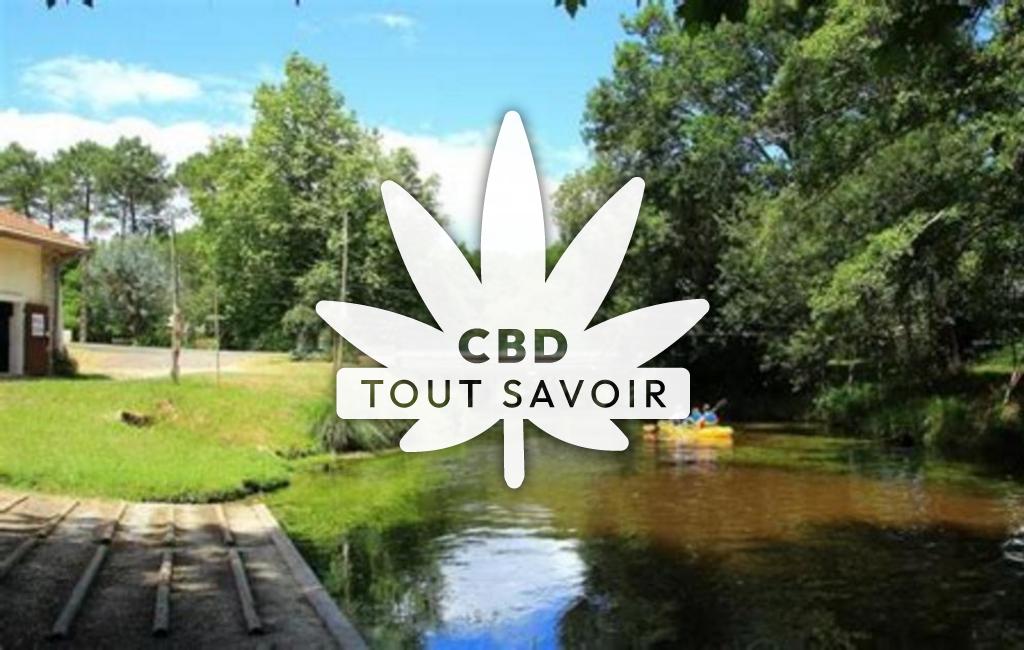 Village à Mezos avec feuille Cannabis CBD