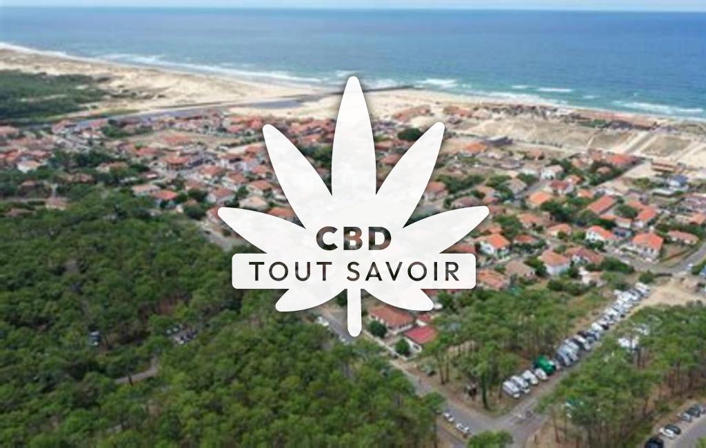 Village à Saint-Julien-en-Born avec feuille Cannabis CBD