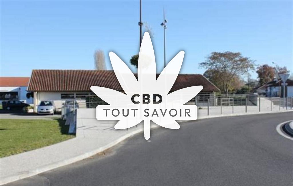 Village à Hinx avec feuille Cannabis CBD