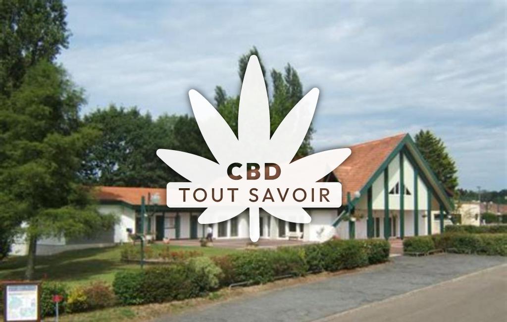 Village à Riviere-Saas-Et-Gourby avec feuille Cannabis CBD