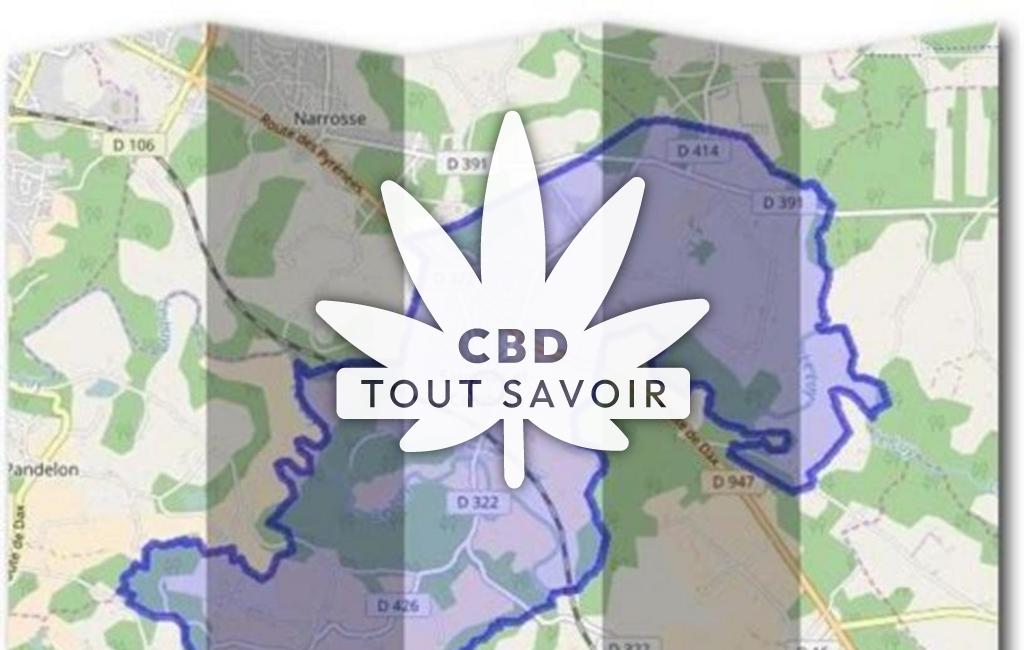 Village à Saugnac-Et-Cambran avec feuille Cannabis CBD