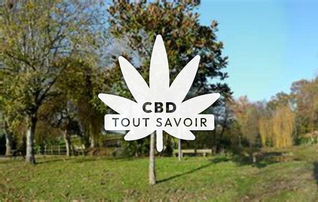 Village à Sort-en-Chalosse avec feuille Cannabis CBD