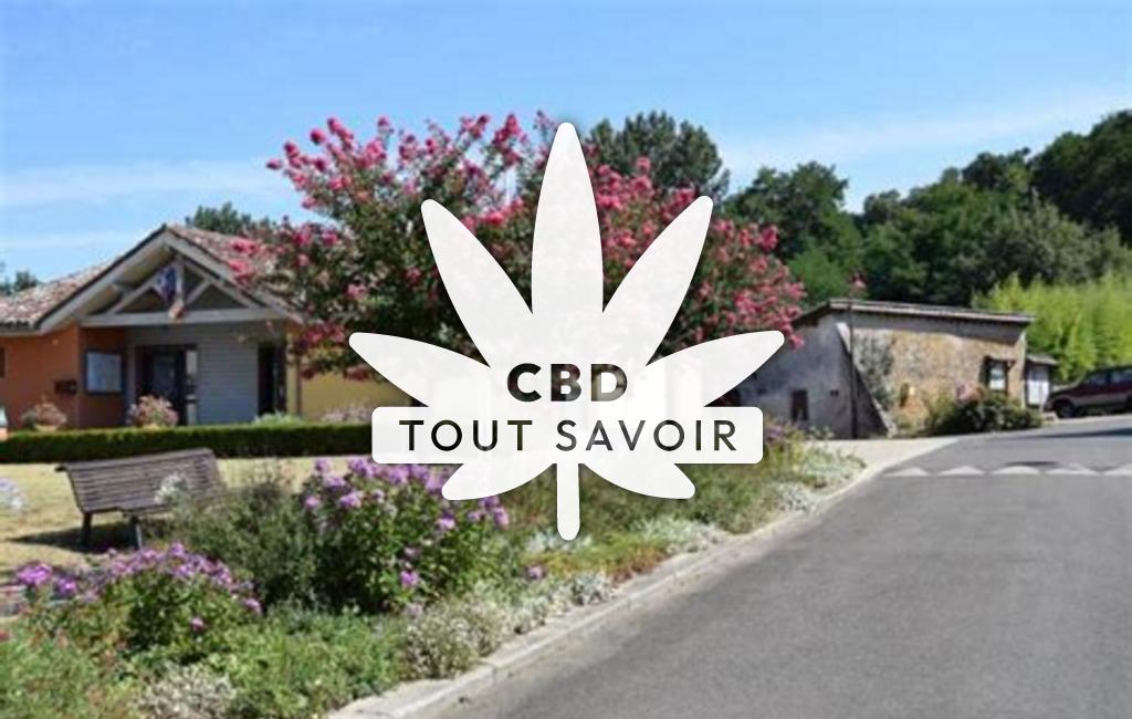 Village à Saint-Cricq-Villeneuve avec feuille Cannabis CBD